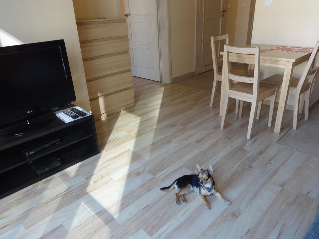 ורשה Dream Loft Residence מראה חיצוני תמונה